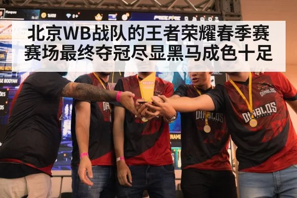 北京WB战队的王者荣耀春季赛赛场最终夺冠尽显黑马成色十足